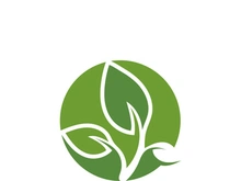 Logos of green tree leaf ecology nature element vector