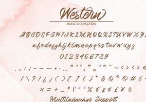 Western - Handbrush Script Font