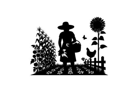 Silhouette of a woman in a garden with sunflowers and a chicken
