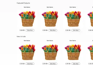 FlowerShop Free Template PSD