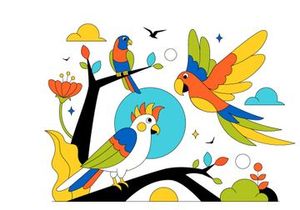 10 Colorful Tropical Bird Illustration