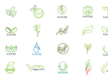 Tree leaf green Logo