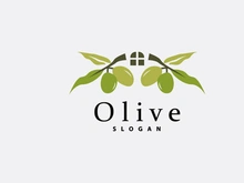 Olive Oil Logo, Olive Leaf Plant Herbal Garden Vector