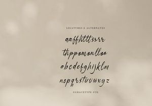 Danthalion | Elegant Signature Script