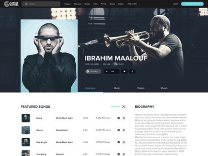 Profile website