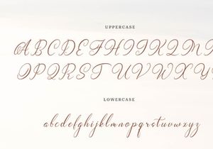 Wenstormy | Calligraphy Script