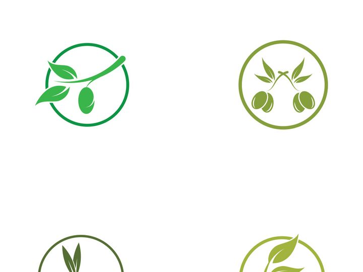 Branched olive fruit logo with creative idea.