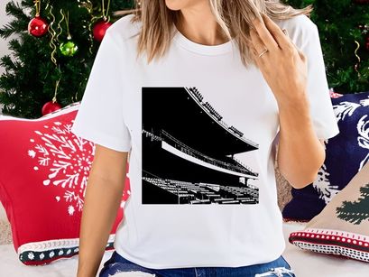 Black and white photograph of empty stadium seating with tiered stands