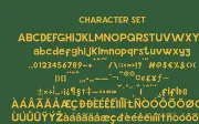 Sinadey – Solid Sans Serif