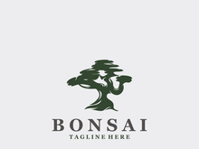 Bonsai Tree Logo Design template. vintage  illustration of aesthetic bonsai plants culture
