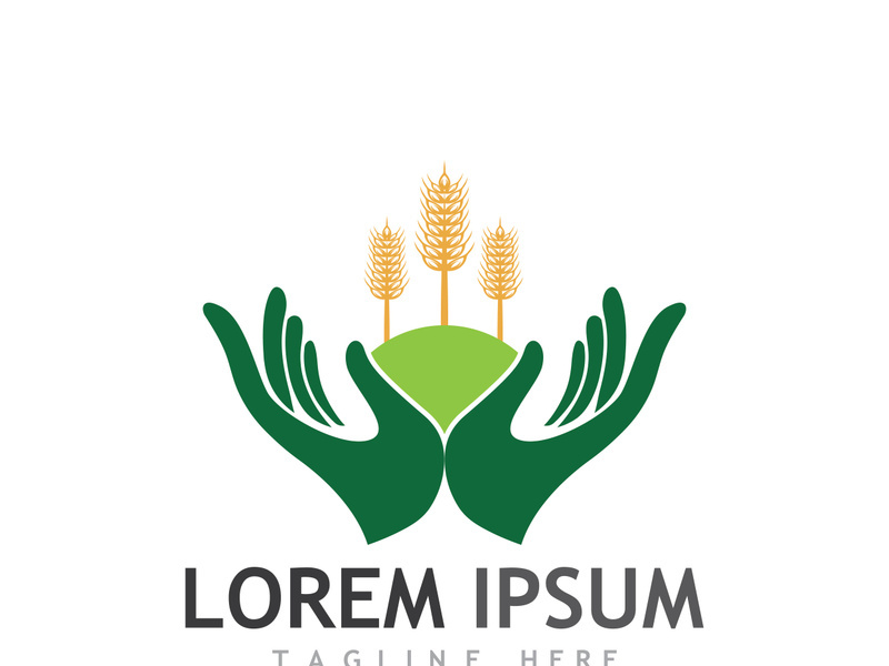 Organic wheat farm logo template.