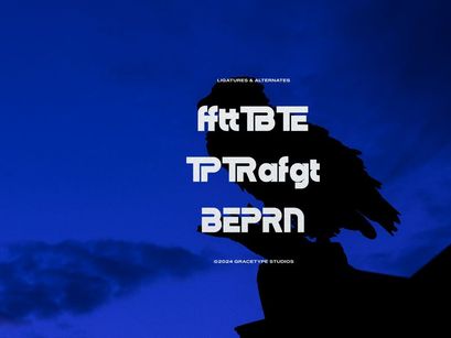 Dejorn | Display Sans Serif