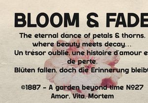 Renasfi | Vintage Sans Serif