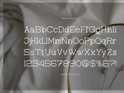 Corina Elegant | Modern Slab Serif