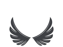 Falcon logo template vector illustration design