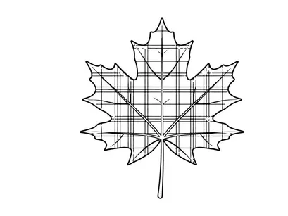 Close-up of a detailed autumn maple leaf. Natural fall foliage with intricate vein patterns.