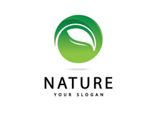 Green leaf logo  Nature icon design