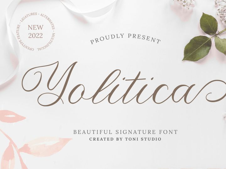 Yolitica
