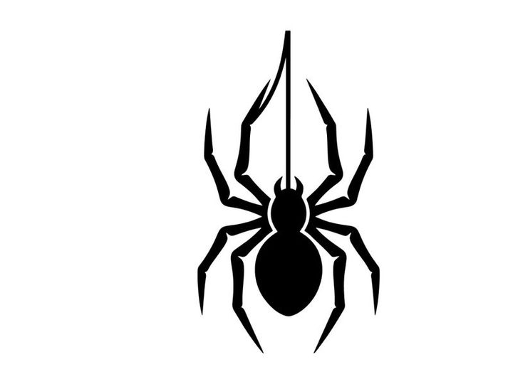 Black Widow Spider Silhouette for Nature or Pest Control Themes