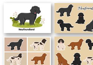 12 Newfoundland Dog Illustration
