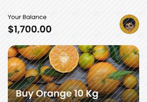 Grocery Mobile App UI Kit