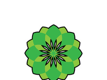 Beauty Vector lotus flowers design logo Template icon