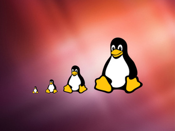 Linux icon 16px / 32px / ... / 256px preview picture