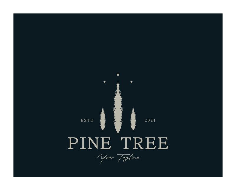 simple pine or fir tree logo,evergreen.for pine forest,adventurers,camping,nature,badges and business.vector