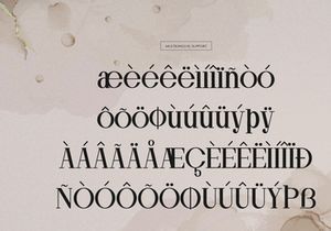 Ronale Classic | Handmade Serif