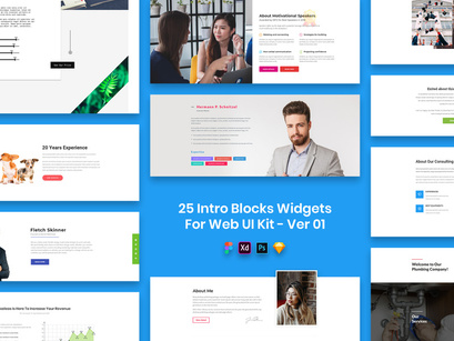 25 Intro Blocks Widgets for Web UI Kit Ver-01