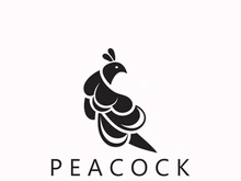 Peacock logo line art elegant concept icon design template flat vector illustration