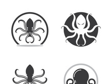 Octopus logo vector design and illustration template