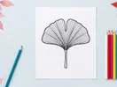 Elegant Ginkgo Leaf Illustration for Nature and Botanical Design. Artistic botanical drawing showcasing detailed leaf structure.
