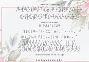 Background Signature Font