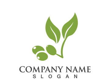 Extra virgin olive oil logo icon design vector illustration preview picture