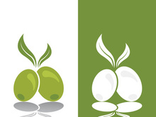 Extra virgin olive oil logo icon design vector illustration