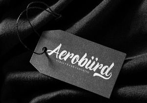 Rineghan - Bold Script Font