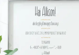 Hai Allison Display Font