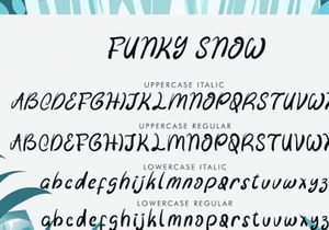 Funky Snow