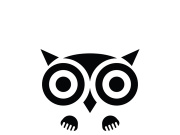 Owl logo icon design animal and simple business abstract vector