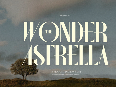 Wonder Astrella | Modern Display Serif