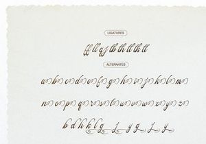 Pitholica Delicate | Classic Elegant Script