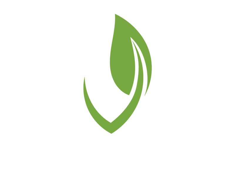 Vegan leaf green eco logo nature