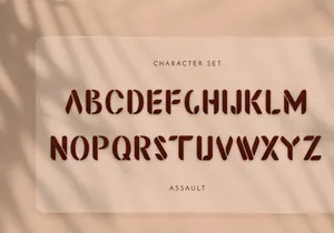 Assault Display Font
