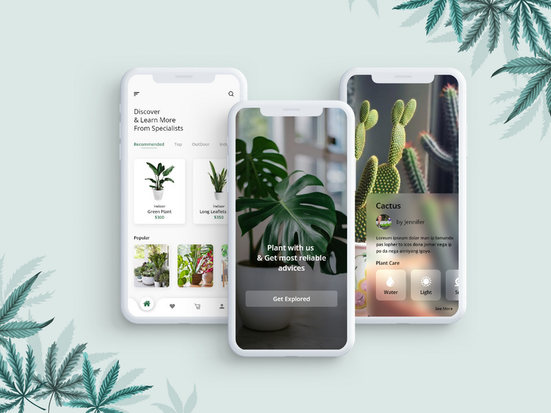Plants Care App Concept