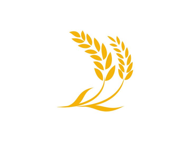 Agriculture wheat rice icon illustration