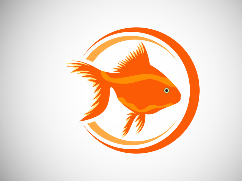 Goldfish in a circle. Fish logo design template. Seafood restaurant shop Logotype concept icon.