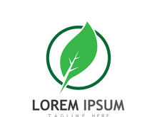 Natural green leaf logo design.