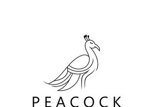 Peacock logo line art elegant concept icon design template flat vector illustration