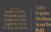 Angelia - Beautiful serif family